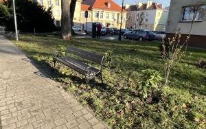 OBO 23 Sejmowa (11)