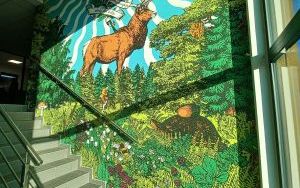 100-lecie Lasów Państwowych (9)