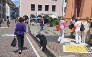 Wizytujemy Freiburg (10)