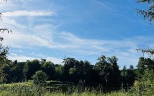 Rozszerzymy teren rekreacyjny nad stawami przy ul. Spacerowej (1)