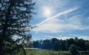 Rozszerzymy teren rekreacyjny nad stawami przy ul. Spacerowej (10)