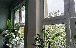 Remonty w szkołach (7)