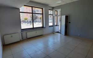 Lokale na wynajem (5)