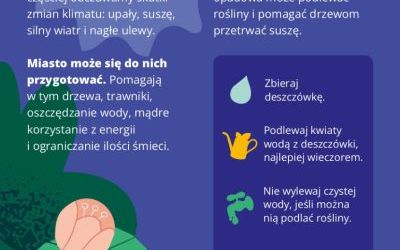 Oleśnica w dobrym klimacie (16)