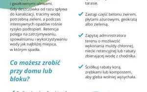 Oleśnica w dobrym klimacie (3)