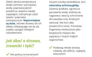 Oleśnica w dobrym klimacie (5)