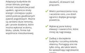 Oleśnica w dobrym klimacie (7)