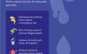 Oleśnica w dobrym klimacie (9)