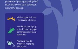Oleśnica w dobrym klimacie (10)