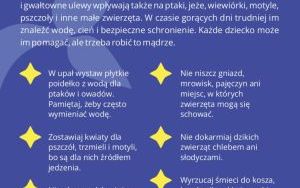 Oleśnica w dobrym klimacie (11)