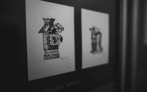 Pszczoła - mały wielki bohater (4)