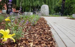 Rewitalizacja skwerku na ul. Rzemieślniczej została zakończona (4)