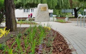 Rewitalizacja skwerku na ul. Rzemieślniczej została zakończona (6)