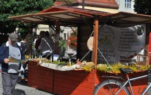 Jarmark Wspaniałości (10)