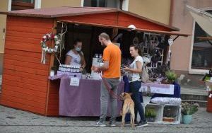 Jarmark Wspaniałości (7)