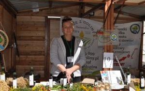 Jarmark Wspaniałości (2)