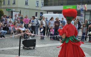 Jarmark Wspaniałości (8)