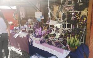 Jarmark Wspaniałości (3)