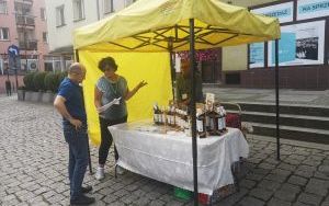 Jarmark Wspaniałości (11)