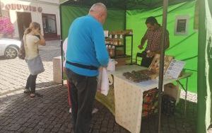 Jarmark Wspaniałości (10)