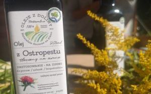 Jarmark Wspaniałości (4)