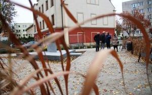 Skwerek przy ul. Cieszyńskiego (10)