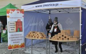 wośp i oleśnicki jarmark wspaniałości (6)