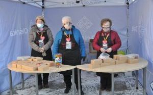 wośp i oleśnicki jarmark wspaniałości (20)