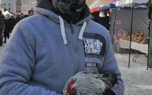 wośp i oleśnicki jarmark wspaniałości (3)