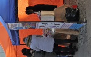 Jarmark i urodziny (6)