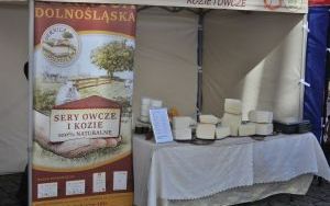 Jarmark i urodziny (7)