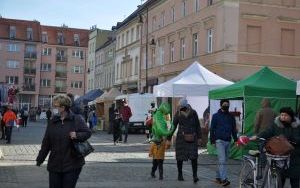 Jarmark i urodziny (5)