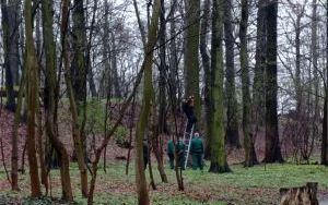 Osadzeni wieszają budki lęgowe (9)