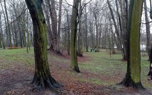 Osadzeni wieszają budki lęgowe (7)