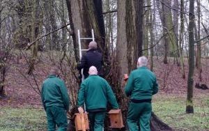 Osadzeni wieszają budki lęgowe (8)