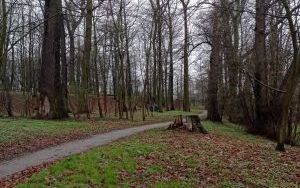 Osadzeni wieszają budki lęgowe (11)