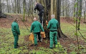 Osadzeni wieszają budki lęgowe (4)