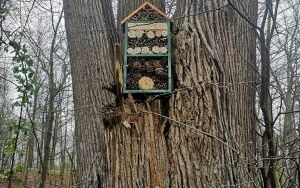 Osadzeni wieszają budki lęgowe (6)