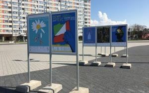 Wystawa Dzień Ziemi (3)