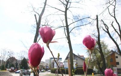 Dzień Ziemi Miasto (6)