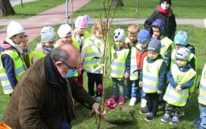 Dzień Ziemi Miasto (8)
