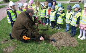 Dzień Ziemi Miasto (9)