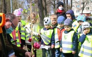 Dzień Ziemi Miasto (10)