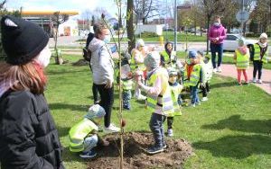 Dzień Ziemi Miasto (2)