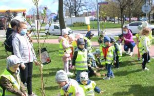 Dzień Ziemi Miasto (3)