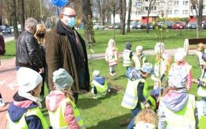 Dzień Ziemi Miasto (5)