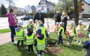 Dzień Ziemi Miasto (6)