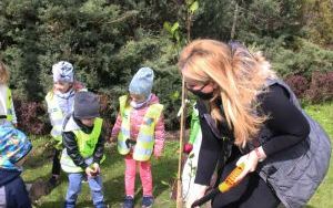 Dzień Ziemi Miasto (3)