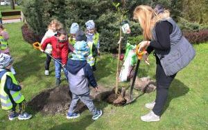 Dzień Ziemi Miasto (4)