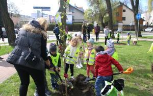 Dzień Ziemi Miasto (5)